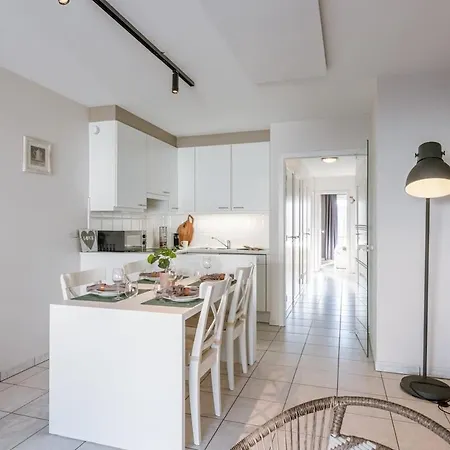 Huswell - Bright With 2 Terraces Close To Ньивпорт
